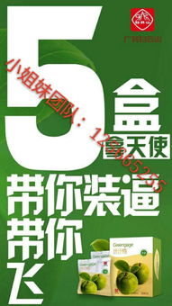 纤纤梅的健康功效与教育场地出租 创业与资源利用的双赢之道
